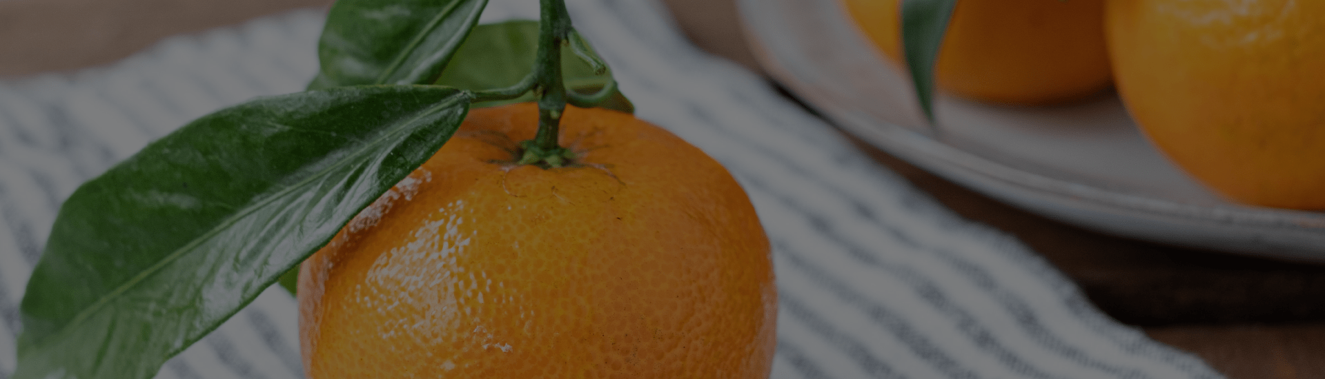 Comment créer les meilleurs plans alimentaires riches en antioxydants