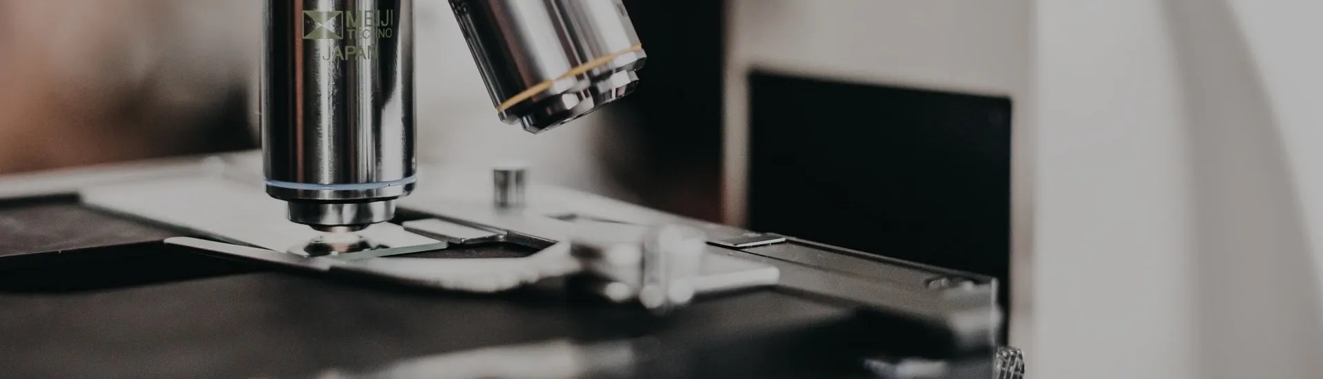 La Nutrición en las Noticias | Edición nº 12