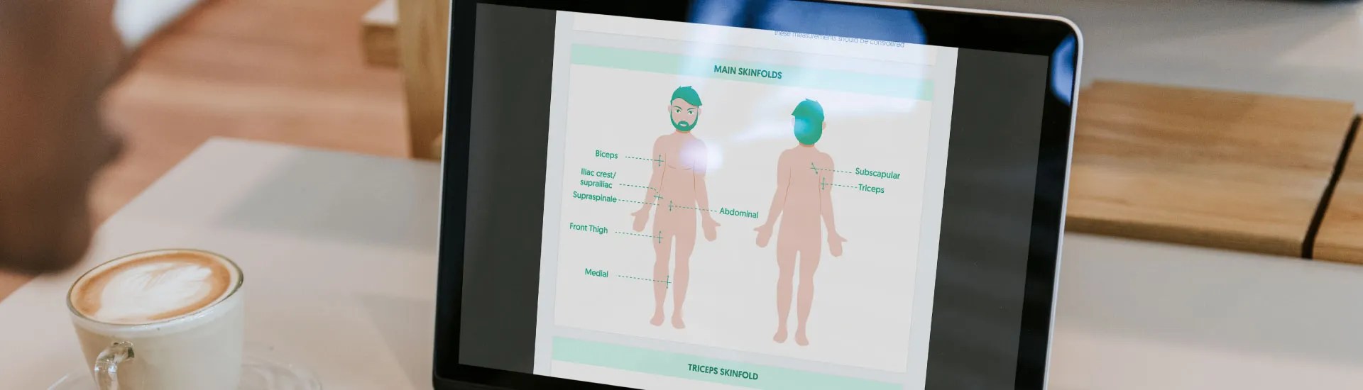 ¿Cómo determinar la masa grasa a través de los pliegues cutáneos?