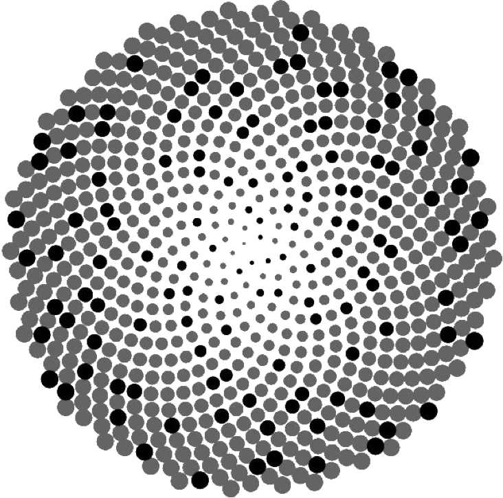 Prime Phyllotaxis Spiral