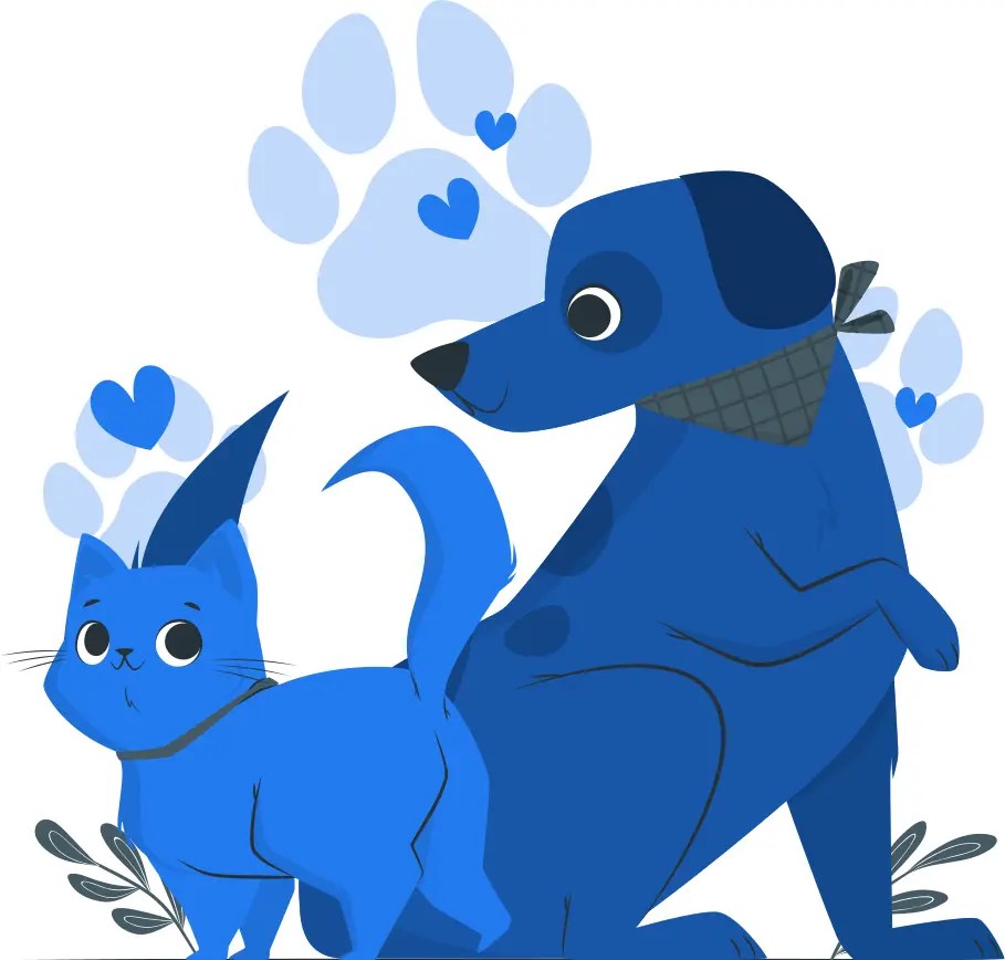 Cat-dog-img