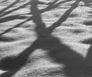 2016-02: Endlich Schnee!
