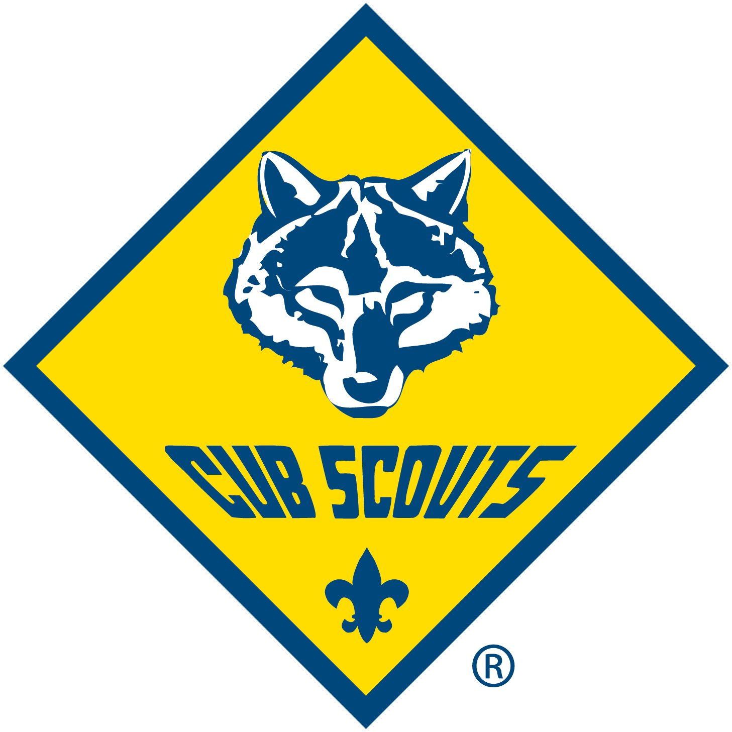 Scout Pack 6048