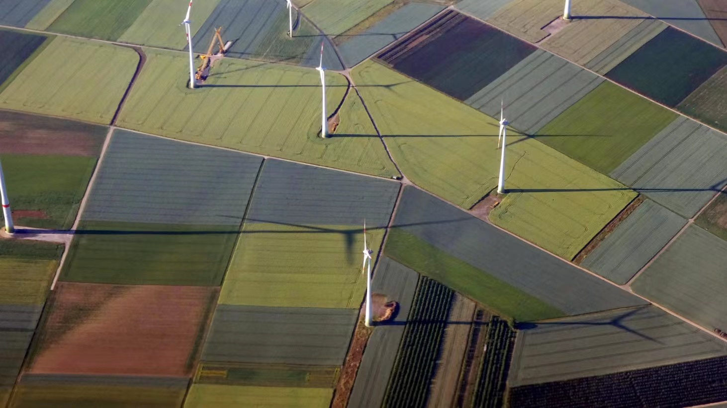 Morgan Stanley Launches USD1bn Private Equity Strategy to Fund Carbon Mitigation 