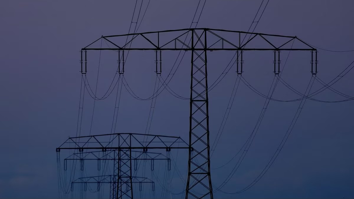 Germany&#8217;s Scholz Advocates Ramping up Renewables, Rejecting Subsidy Plans