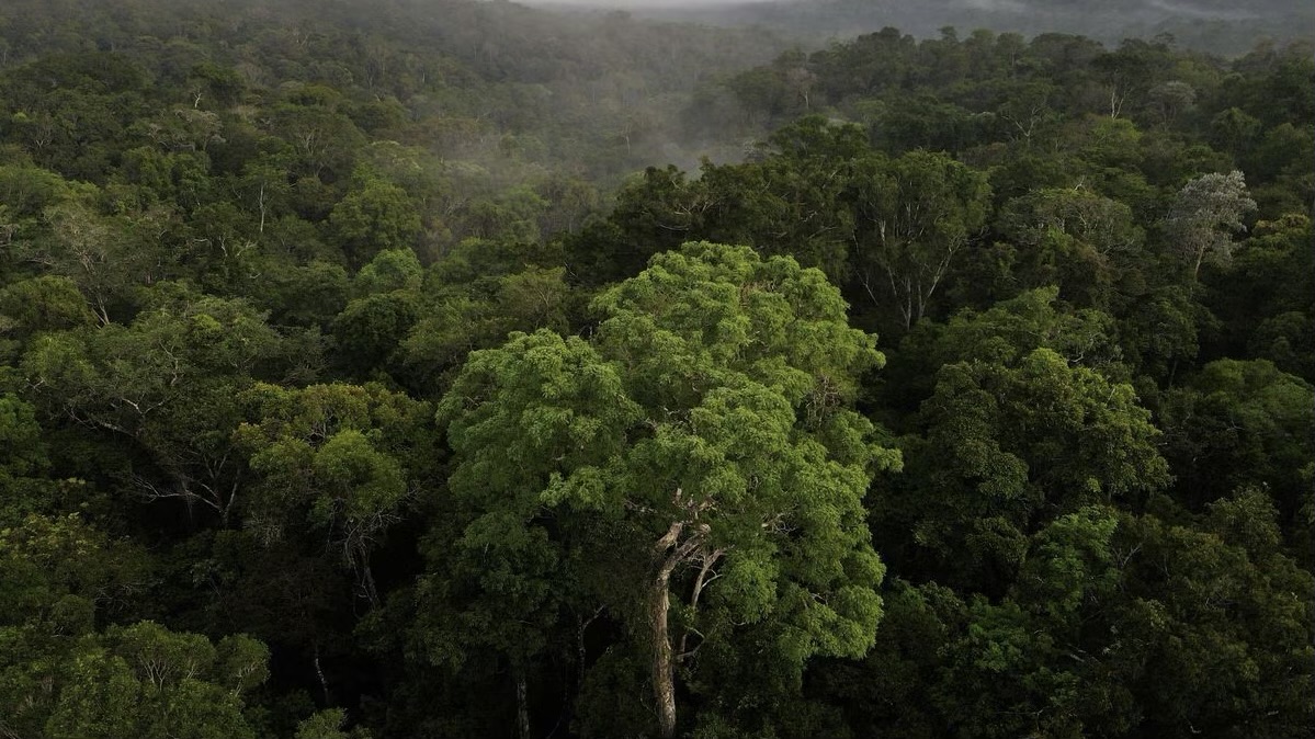 Brazil to Establish Carbon Market, Placing Emission Caps on Large Enterprises