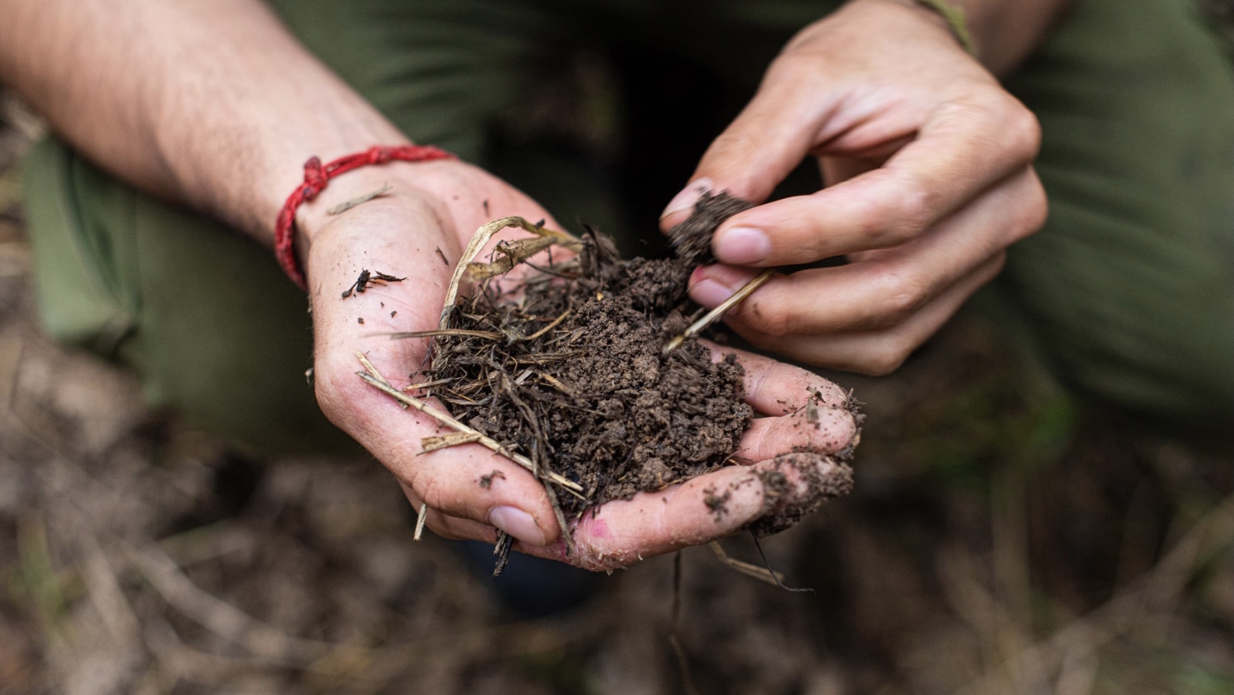 Brazil Seeks USD2bn in Funding to Restore Degraded Pastures