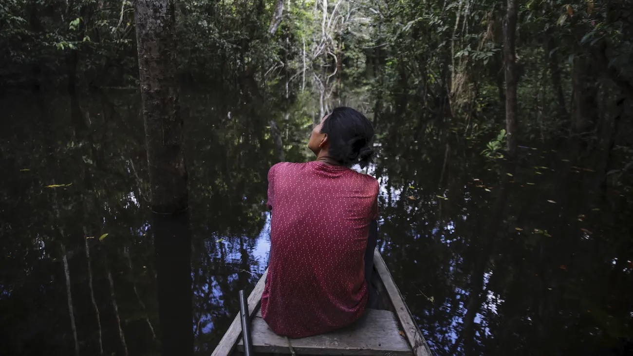 EU Postpones Anti-Deforestation Trade Rules Amid Developing Nations&#8217; Concerns