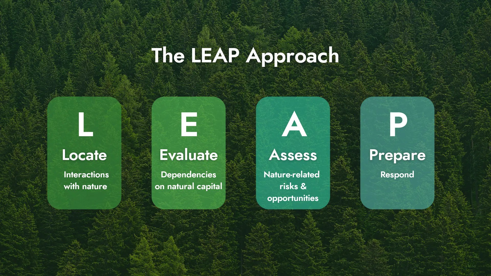 LEAP Approach