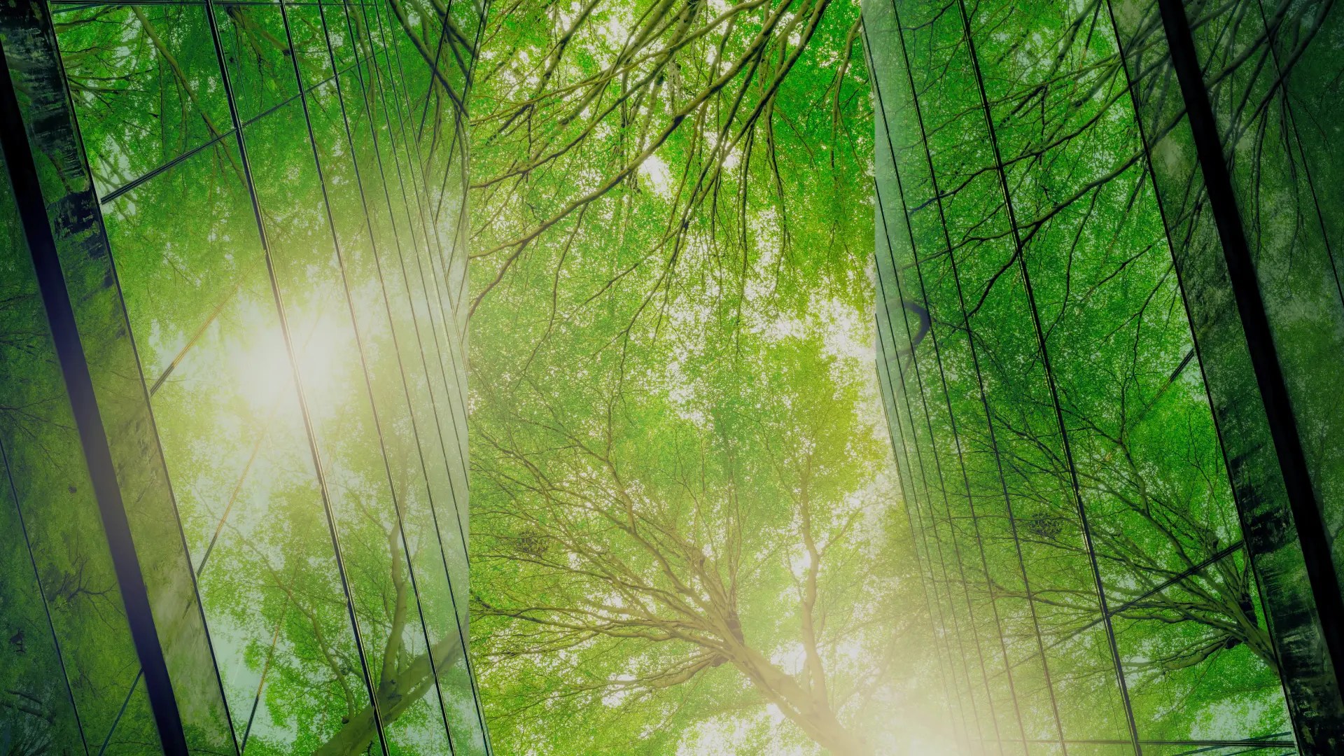 Top ESG Challenges and How to Overcome Them