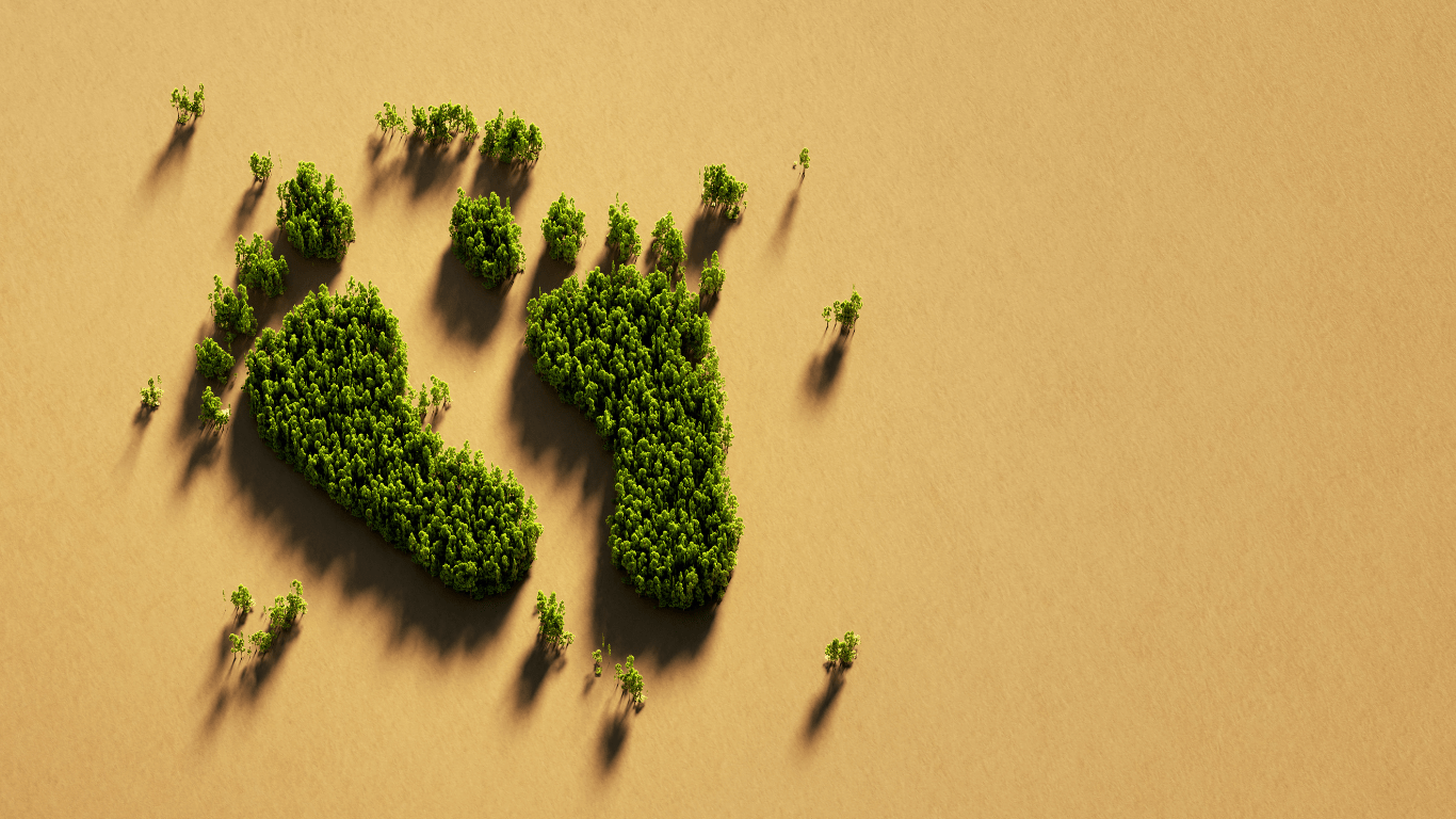 What Is Carbon Footprint? Meaning, Examples &#038; How to Reduce It