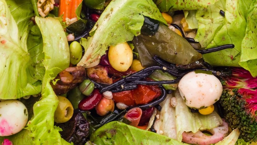 EU Parliament Approves Strong Rules to Slash Textile &#038; Food Waste by 2030