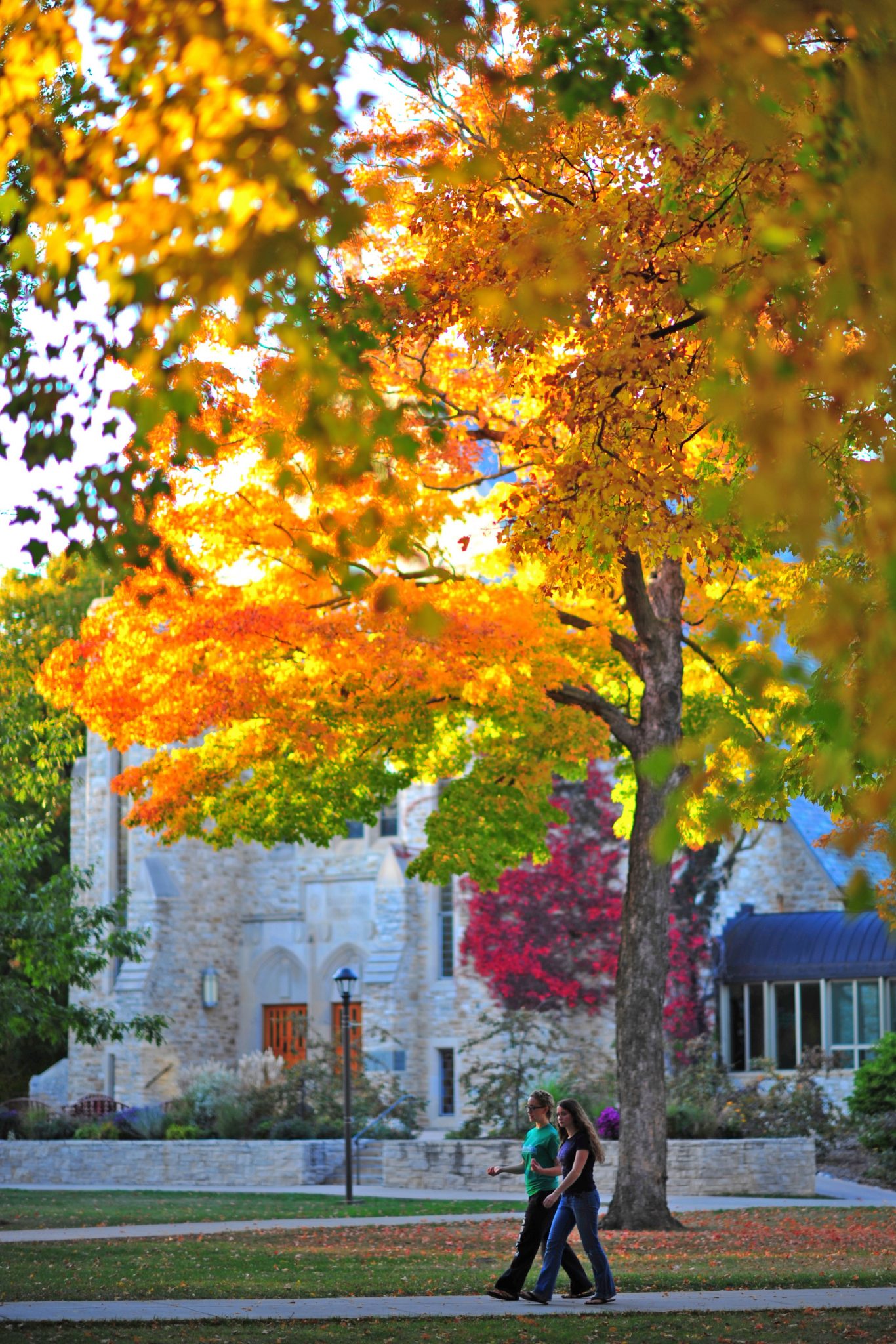 Vibrant orange and red maple in front of Boe Chapel