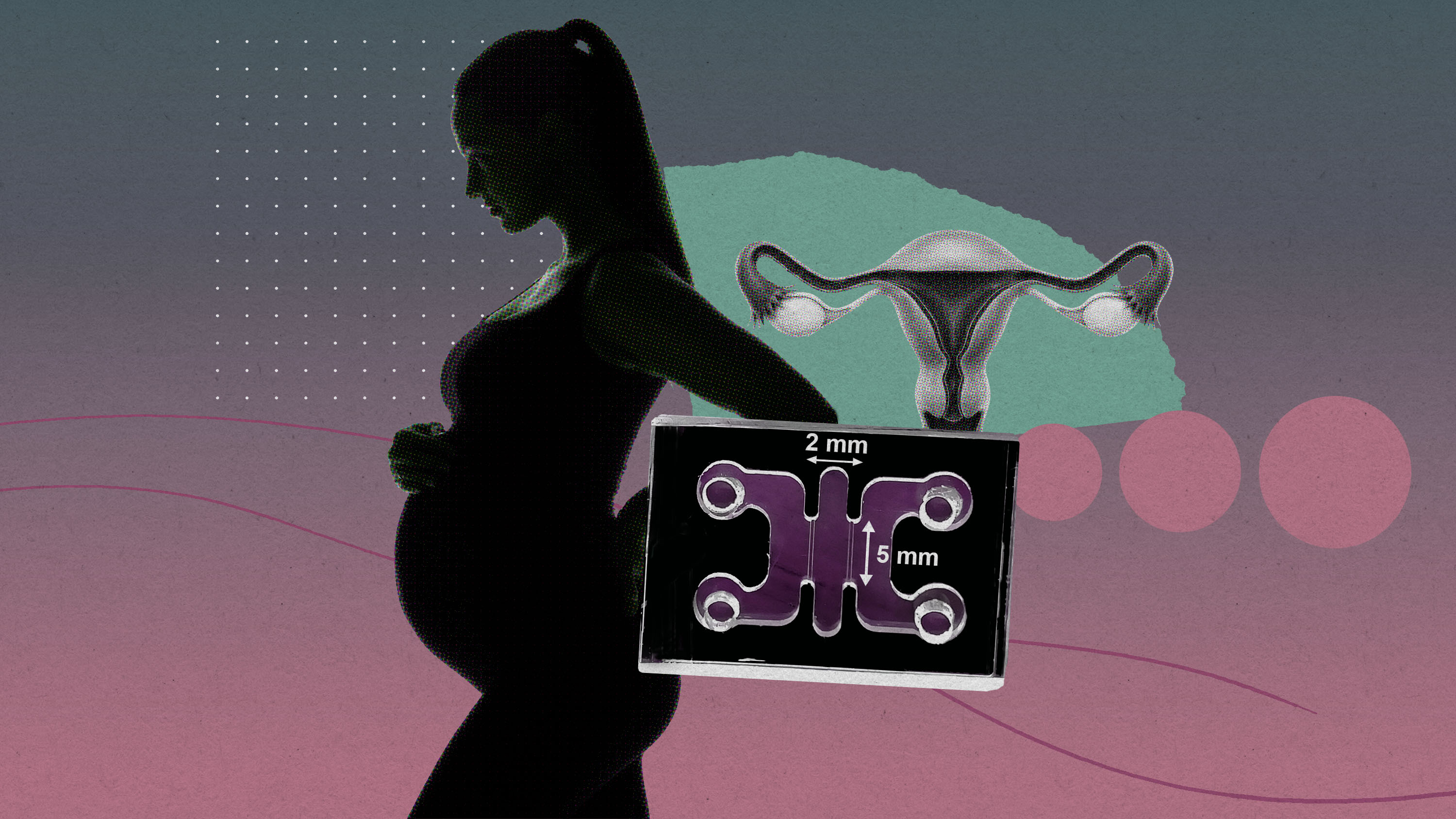 The Download: Mimicking pregnancy’s first moments in a lab, and AI parameters explained
