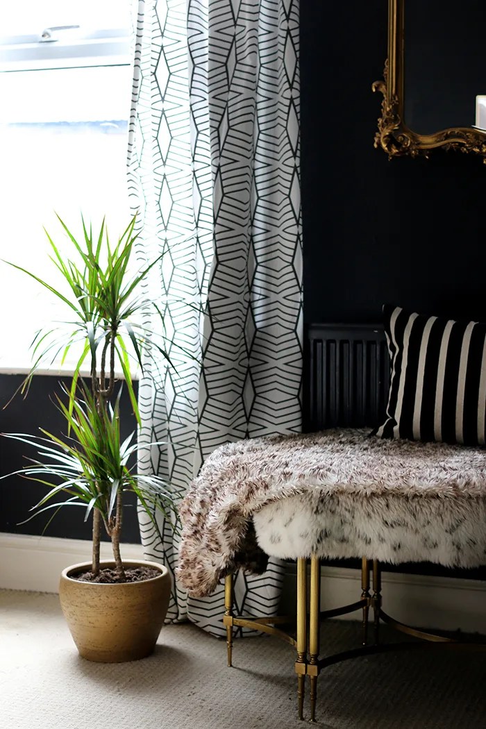 House Plants