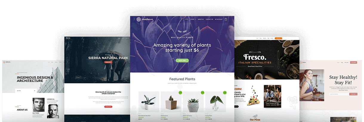 It is technically a plugin that you can install for free and use for block page building. Astra Fast Lightweight Customizable Free Wordpress Theme Download Now