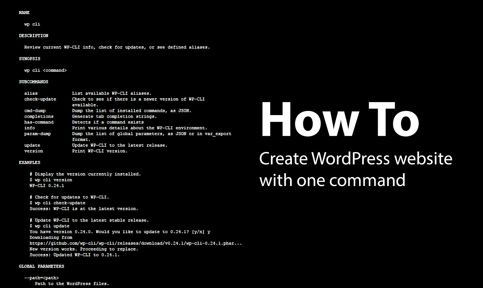 Tạo website trên localhost WordPress với 1 dòng lệnh