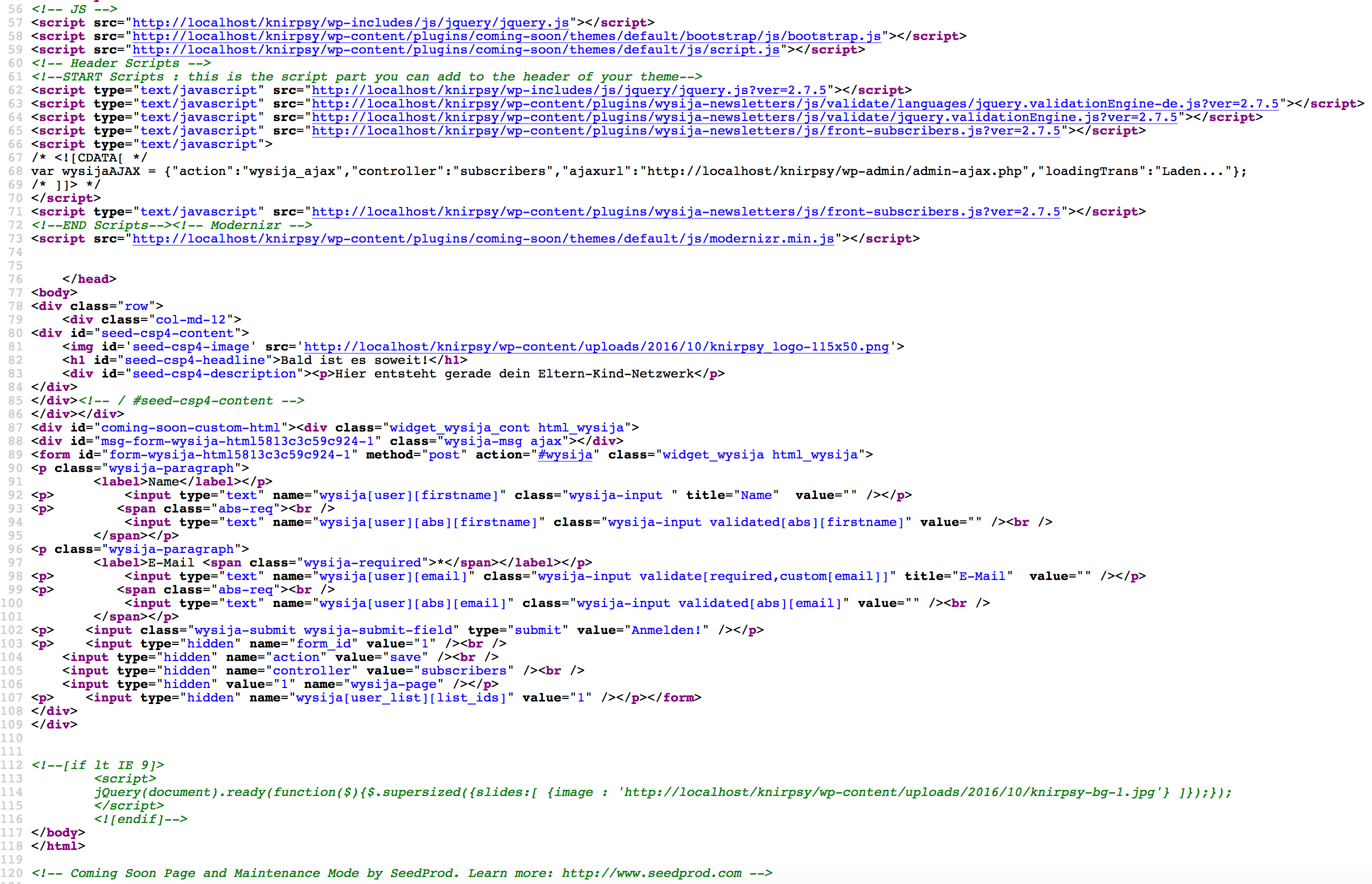 Source code: scripts applied in the head-tag
