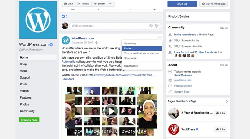 · widget for social page feeds: How To Embed A Facebook Video In Wordpress