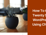 How To Customize Twenty Seventeen Wordpress Theme