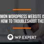 7 Common WordPress Website Issues & How To Troubleshoot Them