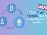 5 Best Crypto Payment Plugins For Woocommerce In 2025 Wp Glob