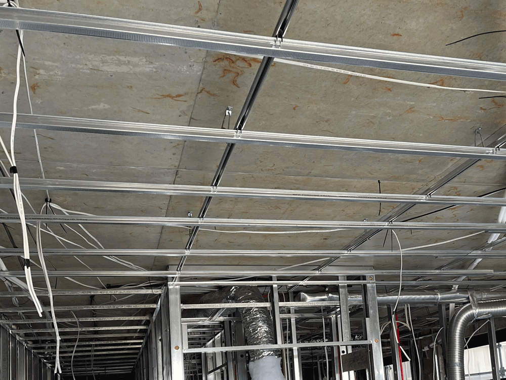 WPG-Ceilings-System