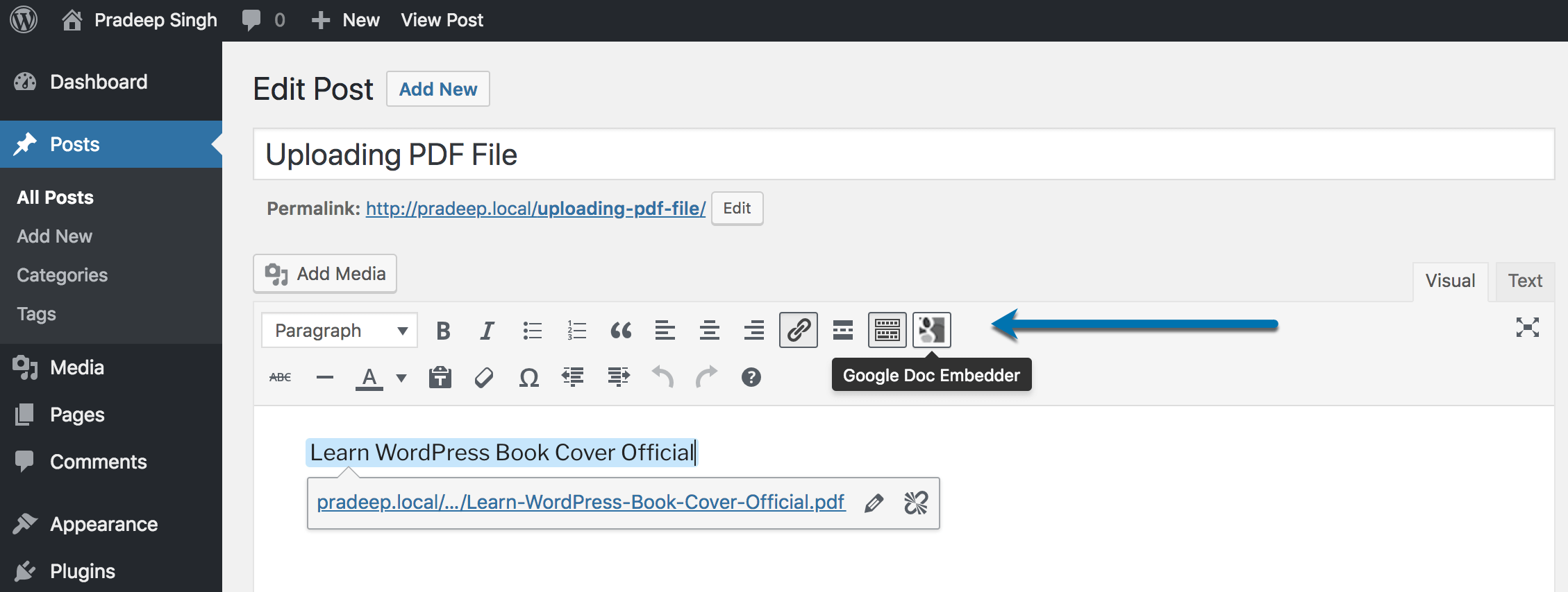 embed a downloadable file in google docs