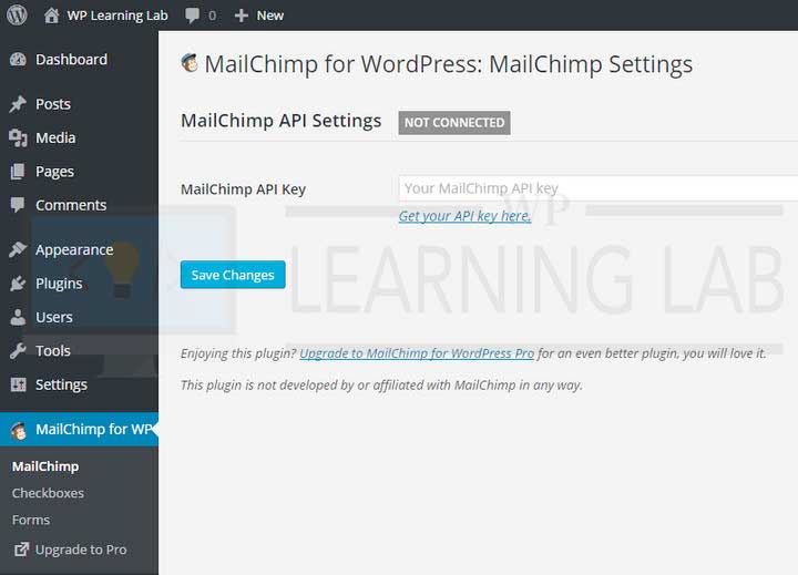 Allowing your visitors to subscribe to your newsletter should be easy. How To Use The MailChimp For WordPress Plugin