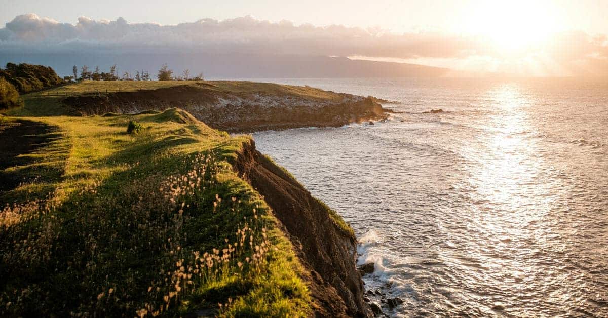 It meant to help trace one step back to a website home page. WordPress Custom Post Type Function Without A Plugin - WPLearningLab