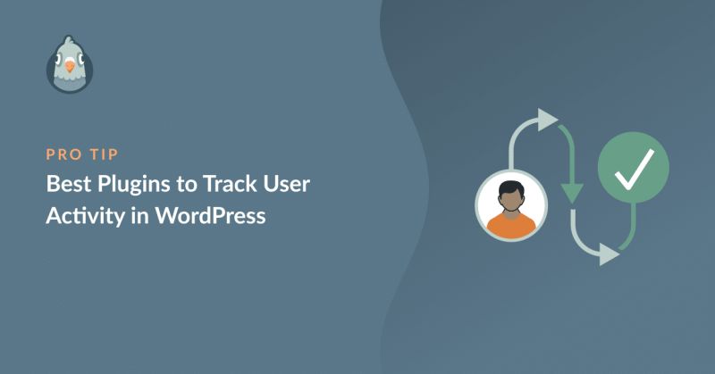 Wordpress Visitor Tracking Plugin Tracemyip - Desktop Mountain Illustrations for Desktop