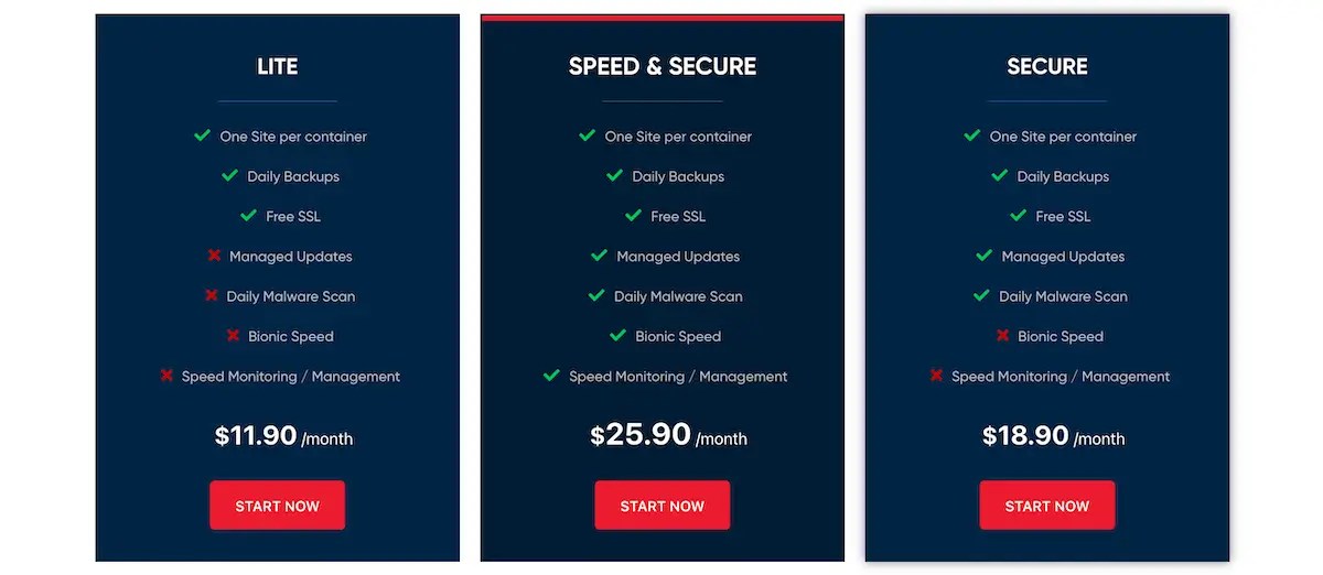 Maximizing Agency Efficiency with BionicWP’s Managed Hosting 7 BionicWP pricing tiers