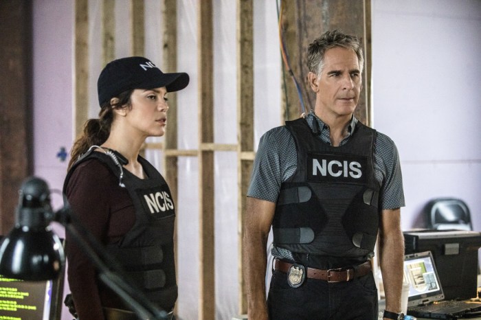 Vanessa Ferlito, Scott Bakula, NCIS: New Orleans