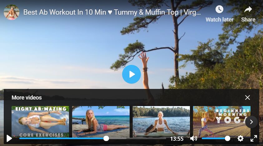 My website sometimes have videos for games that are rated 18+ so i need something like what youtube uses to . Custom Youtube Video Player For Wordpress Yt Player Wp Missing