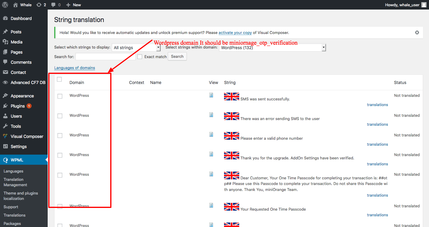 This will help you on accessing your wordpress dashboard from your domains dashboard and thru a direct link. Translations of plugin not affecting on front end, it's under "wordpress" domain - WPML