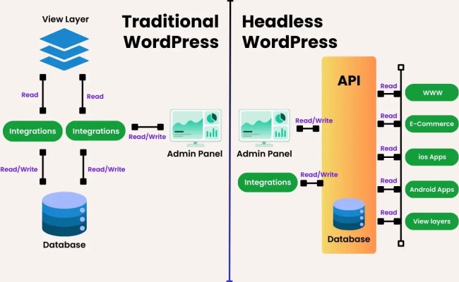 Why Choose WordPress As Headless CMS For Your Next Project - WPMozo