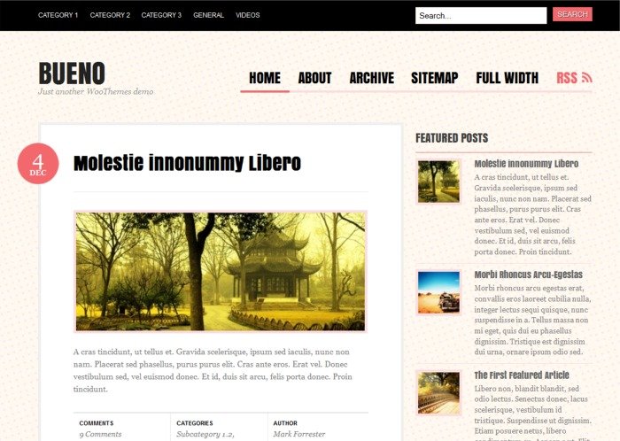 Free WordPress Themes | shankarsoma : Social Media & Digital Marketing ...