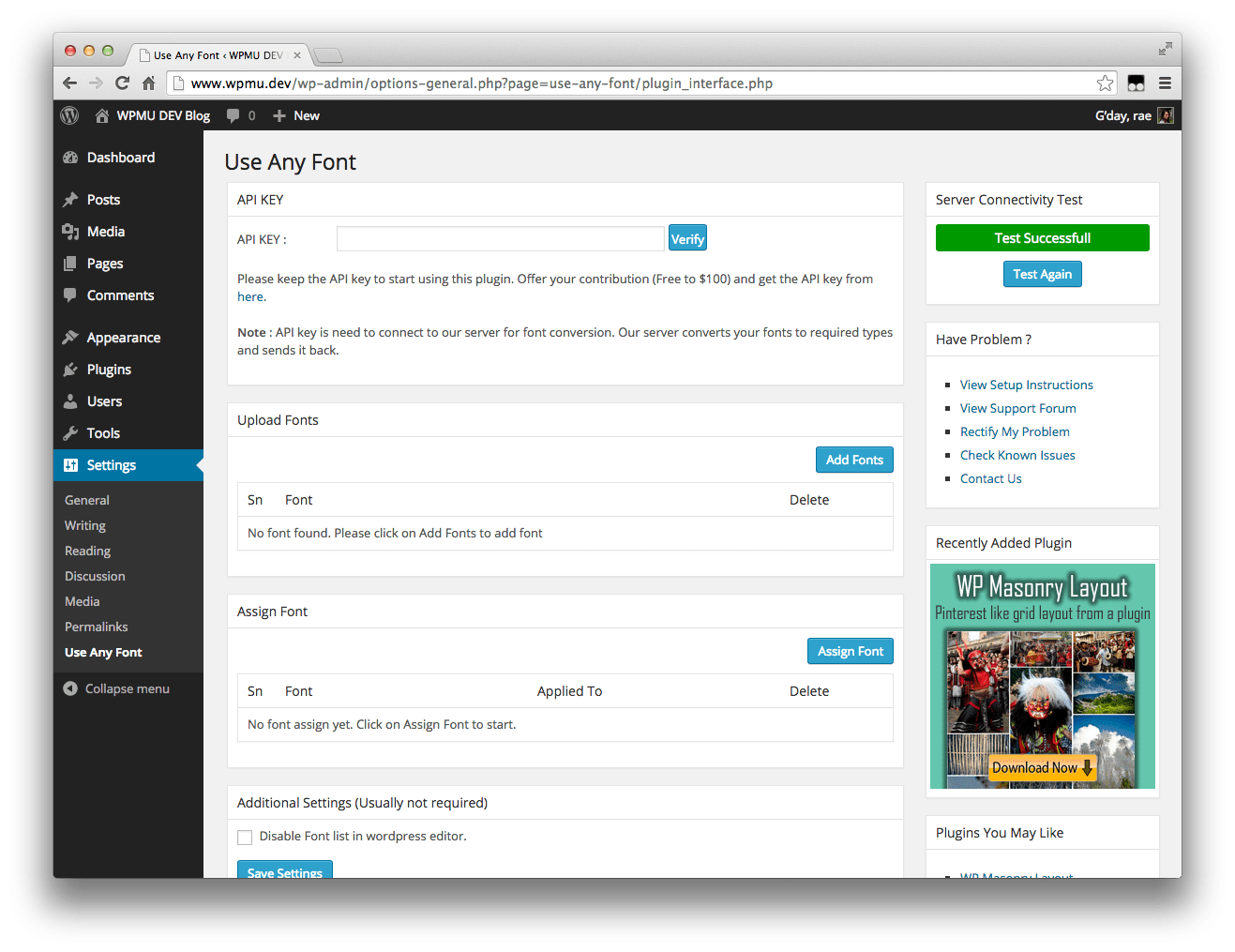 Plugin api version