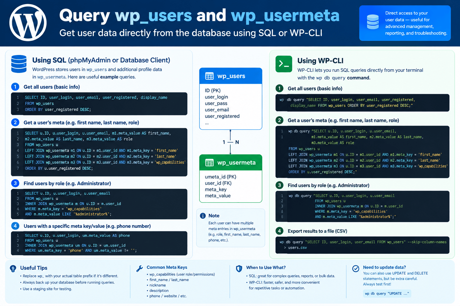WordPress User Data Query Guide