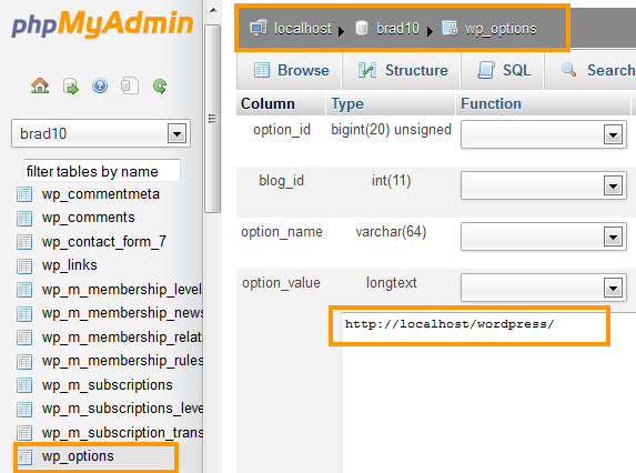 localhost - localhost - yourdatabase - wp_options - phpMyAdmin Go To PhpMyAdmin Your Database - wp_options