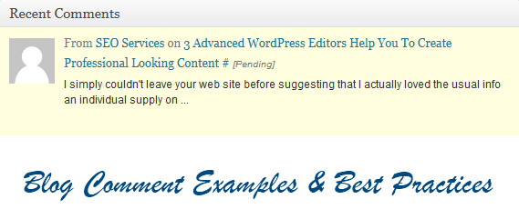 Blog Comment Examples & Best Practices - WP SITES