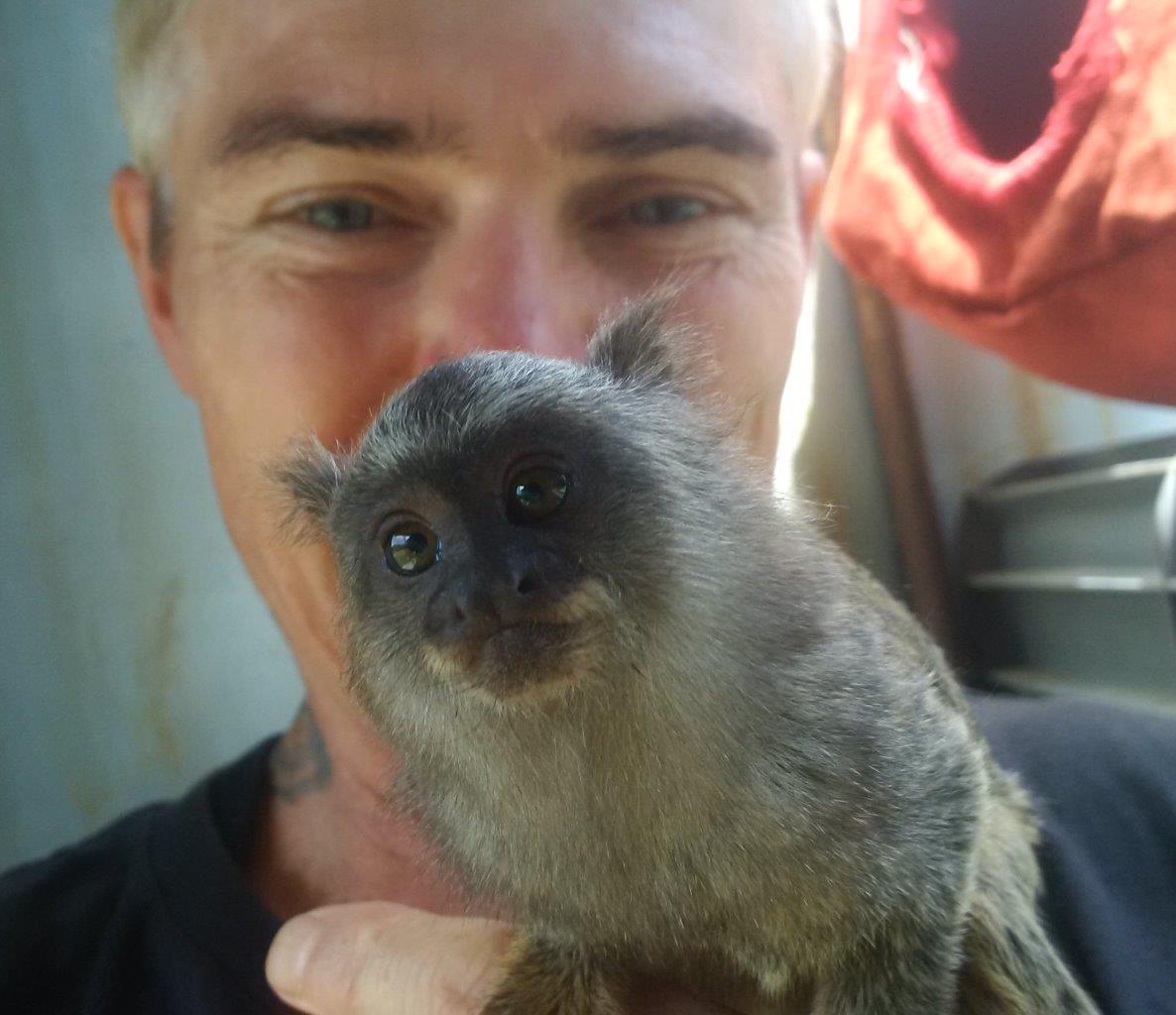 WPS - World Primate Sanctuary - Wayne Macleod with a marmoset