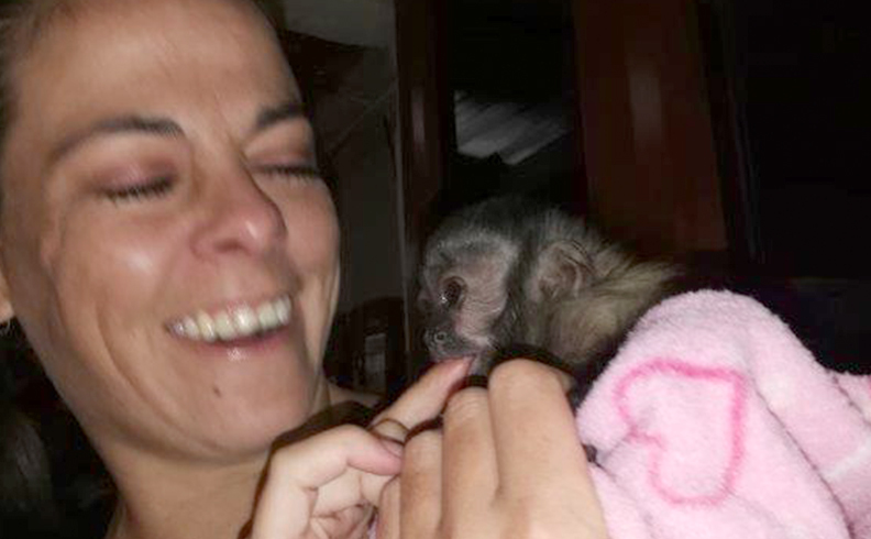 WPS - World Primate Sanctuary - Volunteering