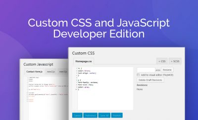 Custom Css And Javascript Developer Edition Wp Zone - Minimal Photos - Amazing HD Collection