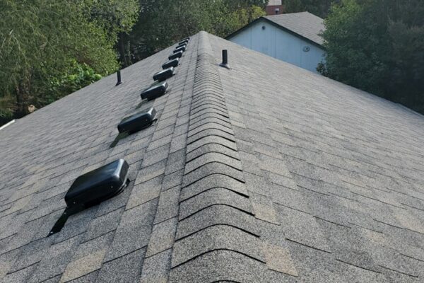 shingle ridge