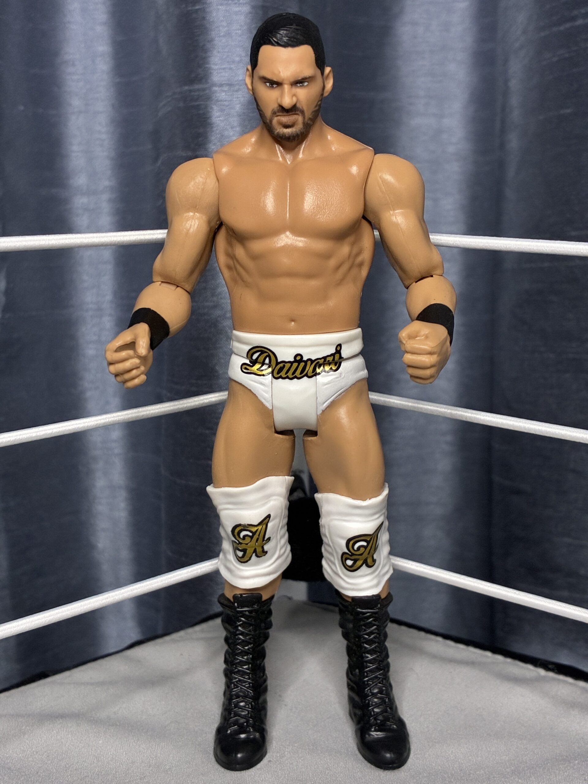 Ariya Daivari - WWE Basics 99