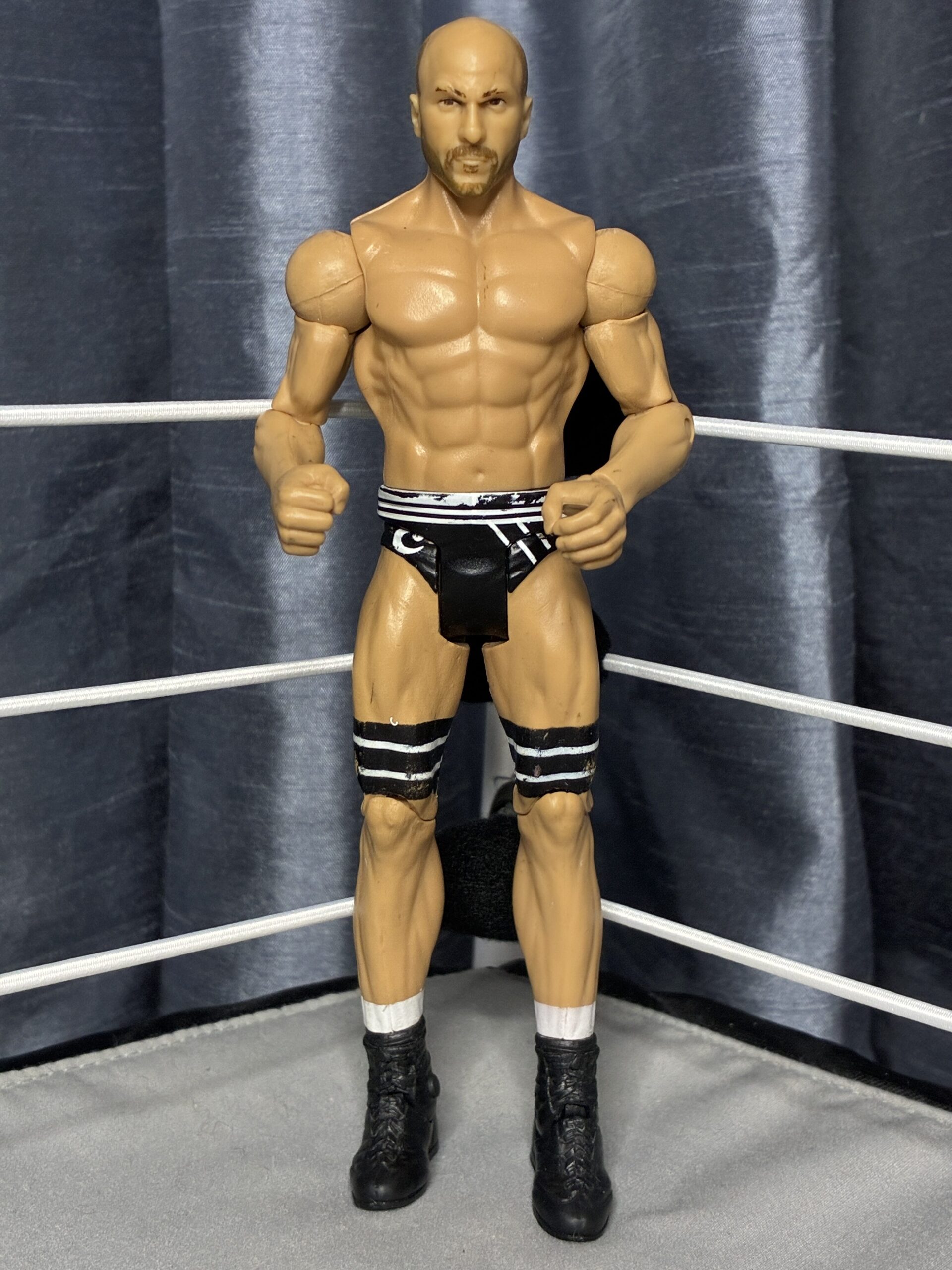 Cesaro - WWE Basics 41