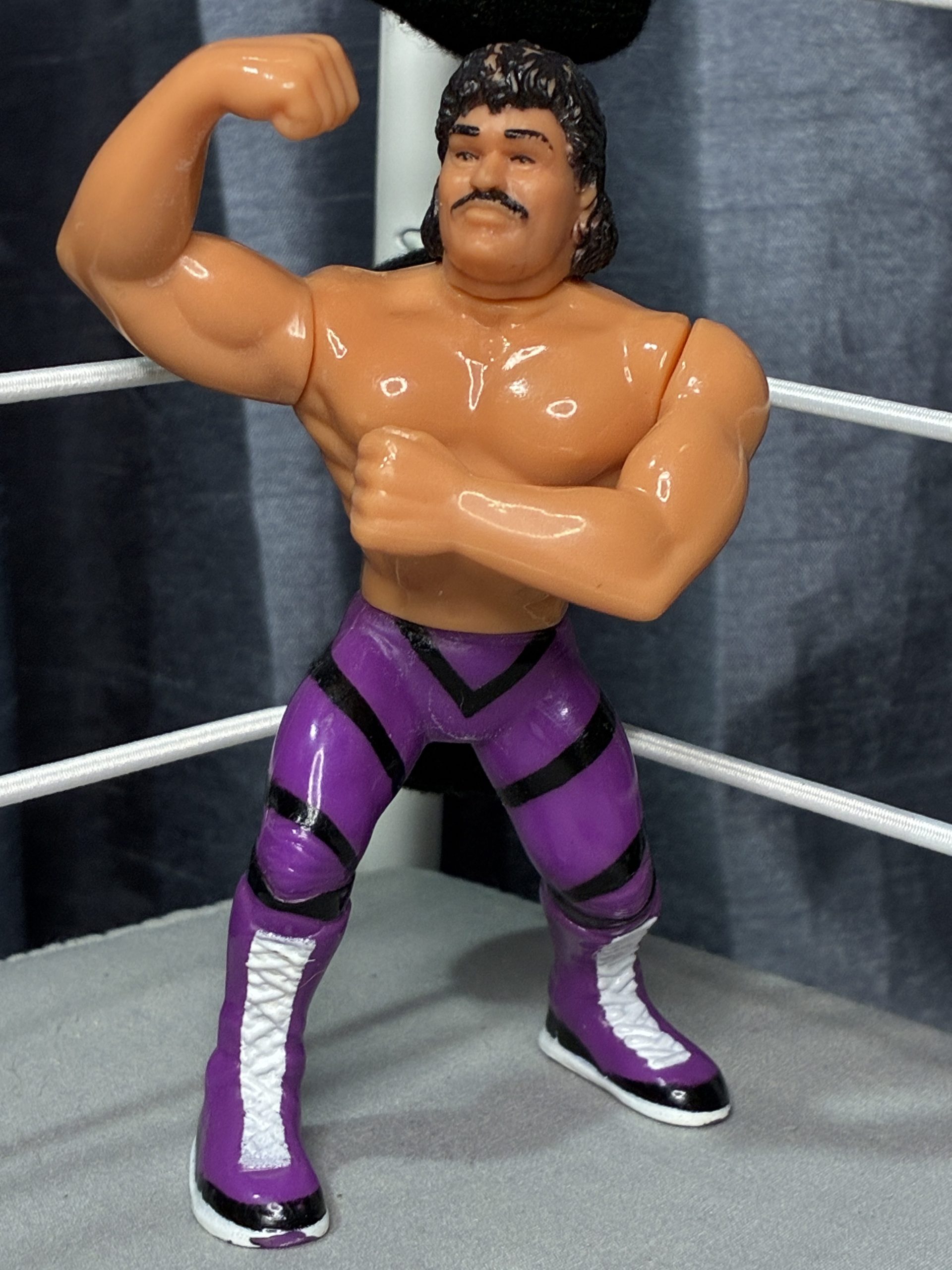Ravishing Rick Rude - Hasbro