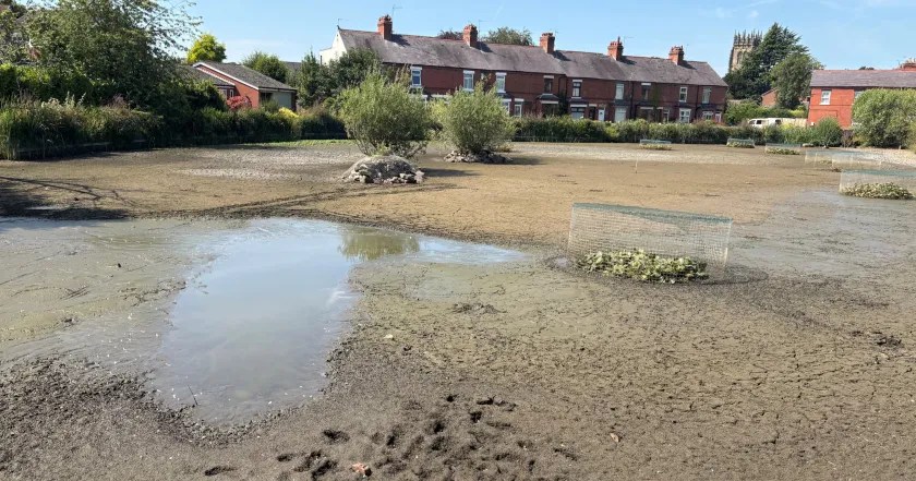 Drought Unveils Gresford Lake's Hidden Secrets: A Race Against Time (2026)