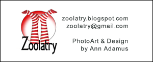 ZOOLATRY-LogoAdv-Revised-June-2021
